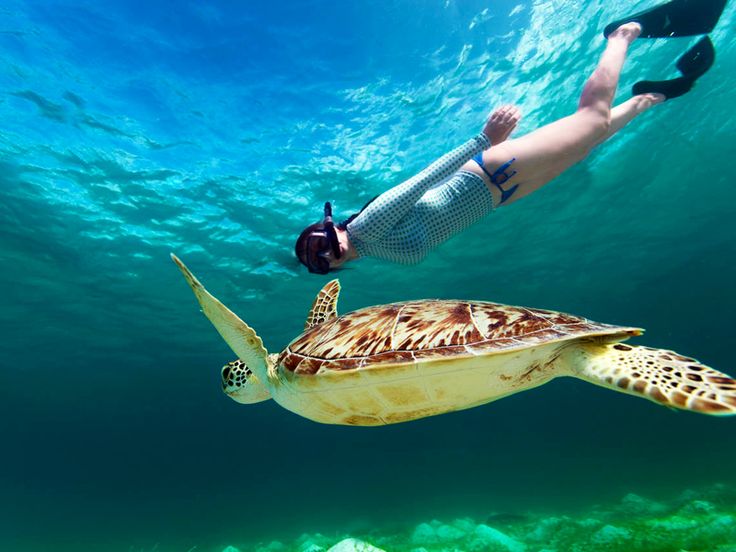 Snorkeling in Sri Lanka