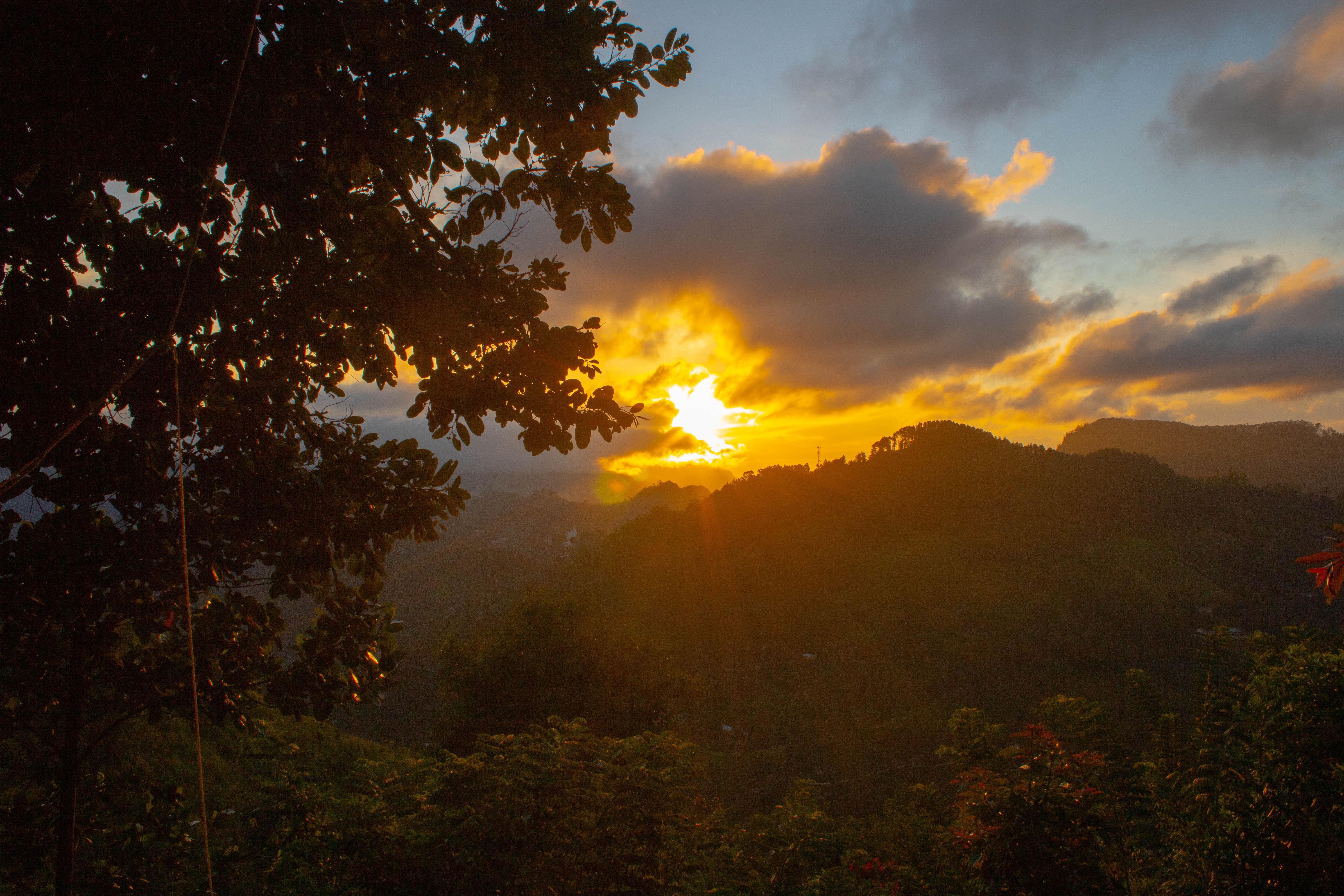 Hill Country Tea Trails image 2