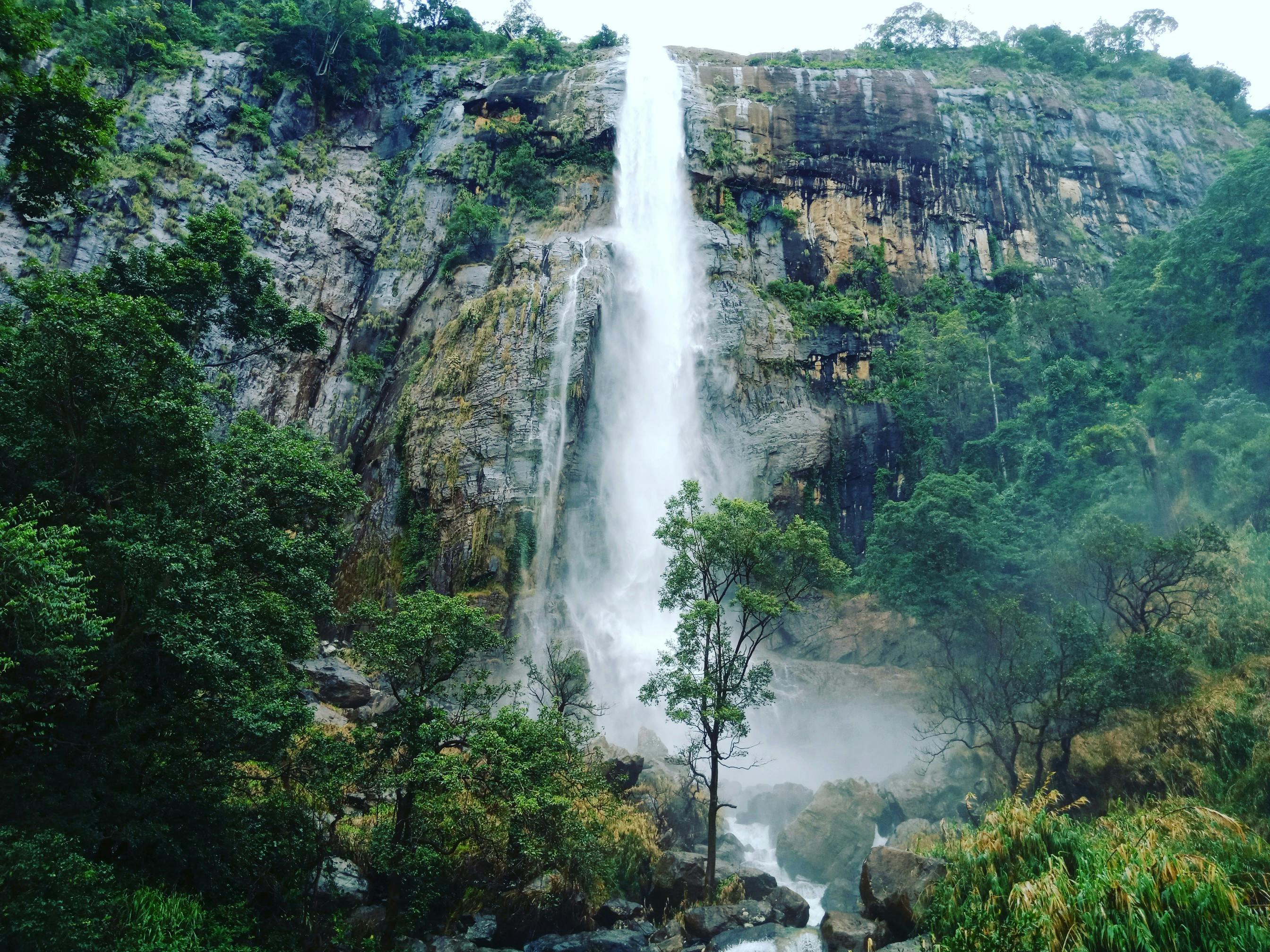 Hill Country Tea Trails image 4